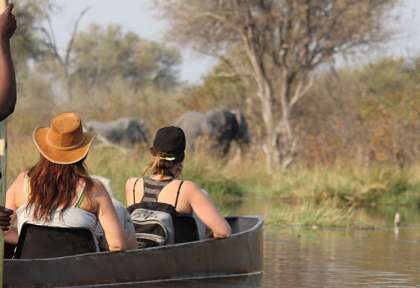 Botswana, le pays du Flying-safari